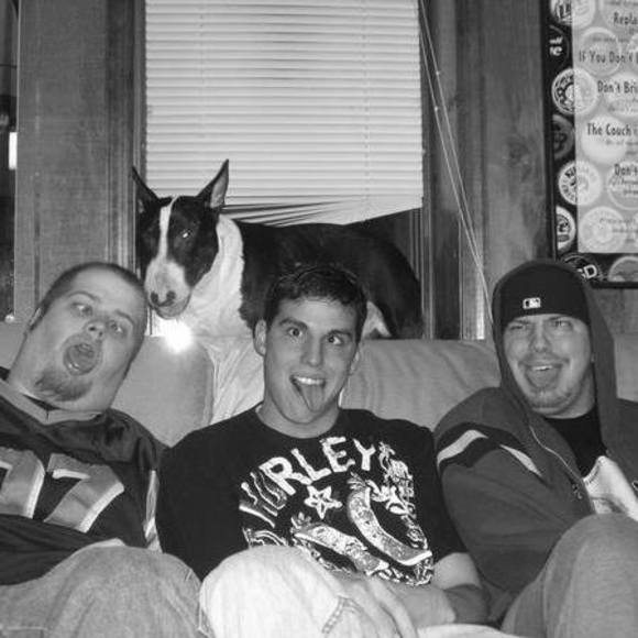 Meet your Posher, Joey - Picture 1 of 1